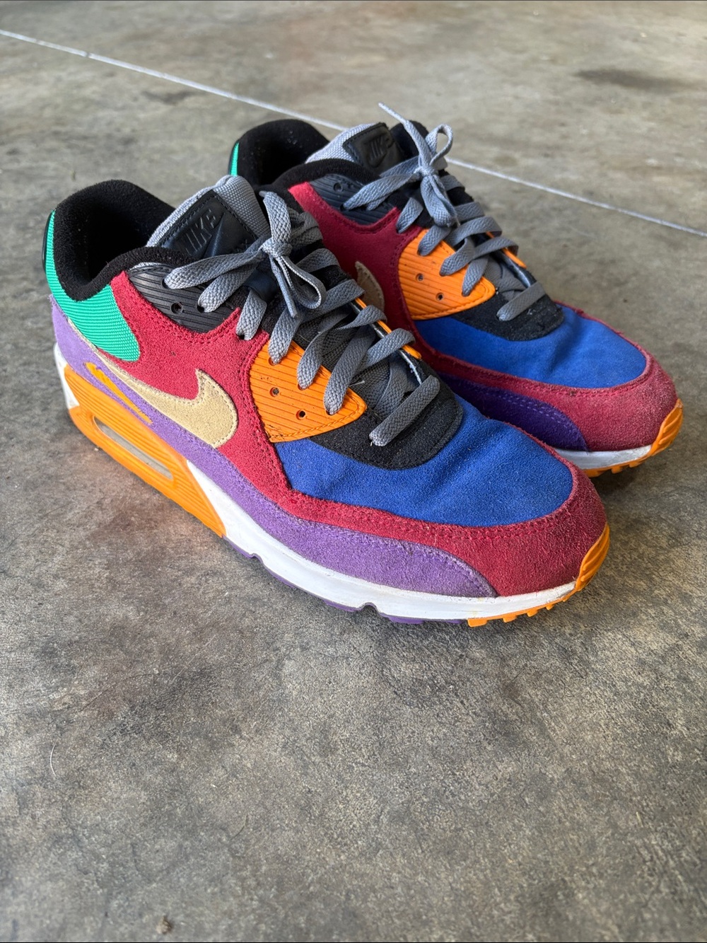 Nike Air Max 90 Viotech Size 11.5